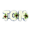 A serene, handcrafted memorial spells the name 'TOM' in three-dimensional, pillowy letters formed entirely of tightly packed, pristine white chrysanthemums. Each tiny chrysanthemum petal softens the surface into a cushion of white, the blooms arranged so densely they read as a single velvety plane from a short distance. Around every crisp curve and angle a narrow royal blue ribbon traces the edges, its cool, saturated hue lending formal definition and a quiet dignity that frames each letter against the plain white background. Nestled into the center or lower portion of each letter is a delicate, symmetrical spray: a single deep red rose stands as the visual and emotional focal point, its velvety petals suggesting love and solemn remembrance. Surrounding that rose are smaller creamy-white spray roses and slender green fern fronds whose fine texture and fresh, herbal scent provide contrast and depth. The floral accents are balanced and restrained, placed to honour rather than overwhelm, and a dark green or black metal support bar is just visible beneath the base, hinting at the practical structure that keeps the tribute upright. Soft studio lighting highlights the subtle shadows between blooms and the ribbon's satin sheen, while the stark white backdrop allows the white chrysanthemums, red roses, and royal blue trim to sing with clarity. As a florist who often prepares tributes for services around Harmondsworth and nearby villages, I find this arrangement to be a comforting, classic expression of respect - tactile, composed, and quietly reverent, made to sit beside a coffin or easel at a farewell gathering.